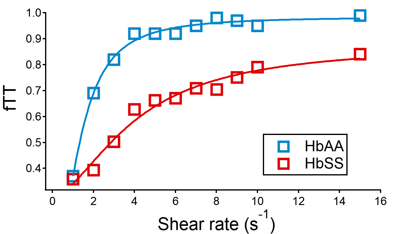 Profil de déformabilité fTT